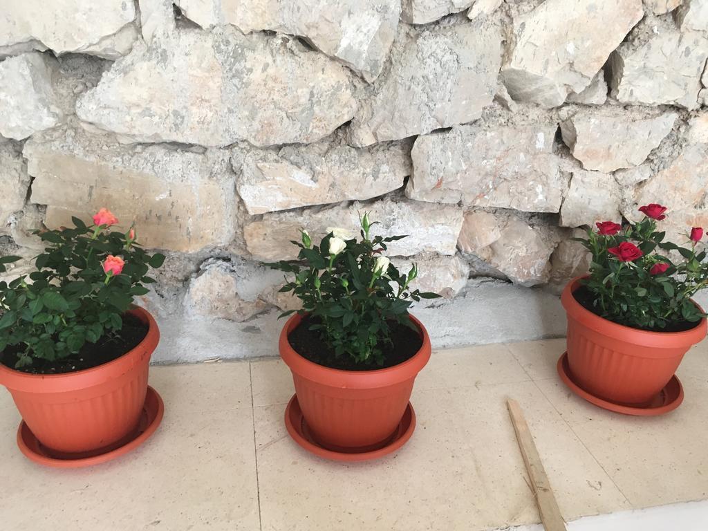 Apartments Petra Tribalj Екстериор снимка